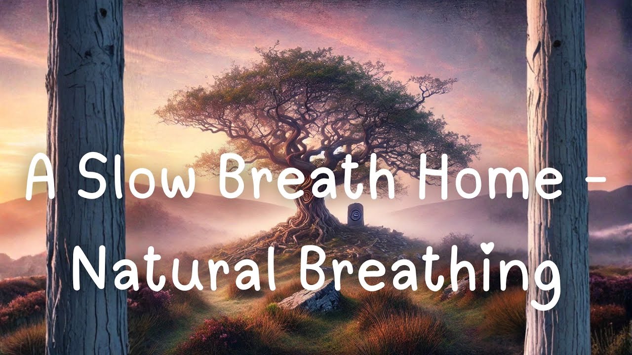 A Slow Breath Home - Natural Breathing & Silent Reflection - 26 01 14 04 Sharyn