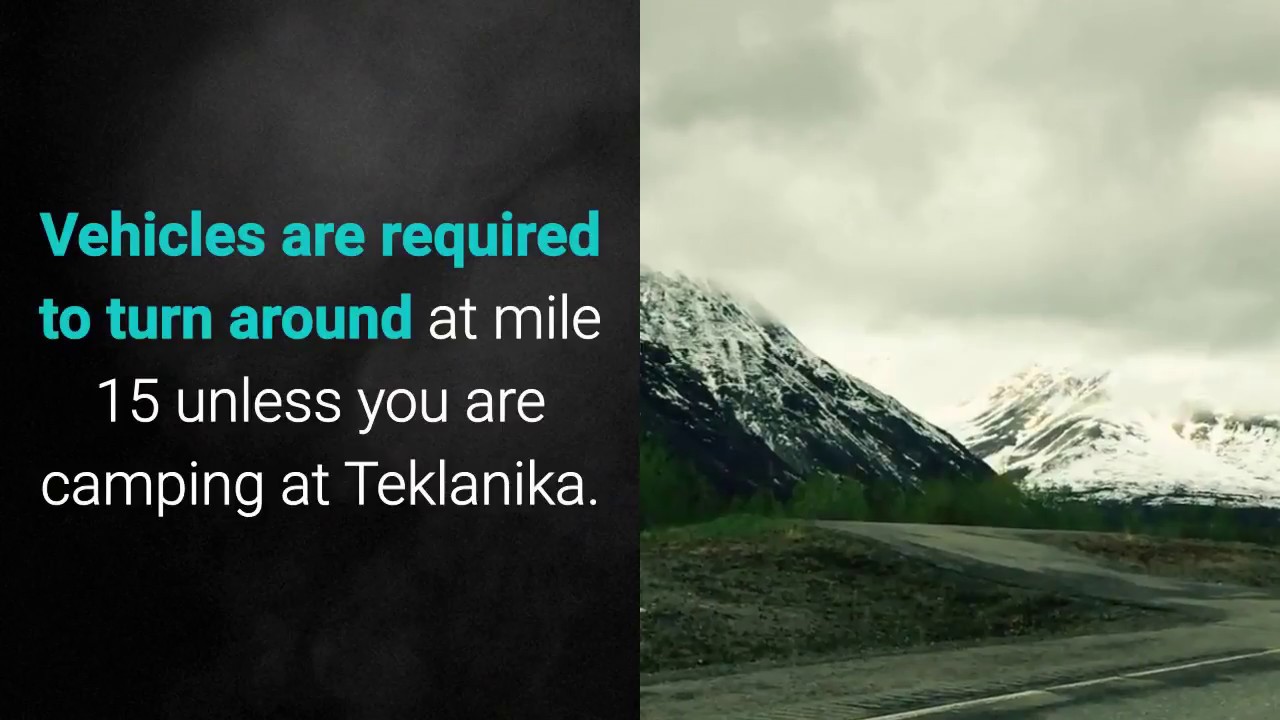 Denali Park & Preserve - Teklanika River Campground