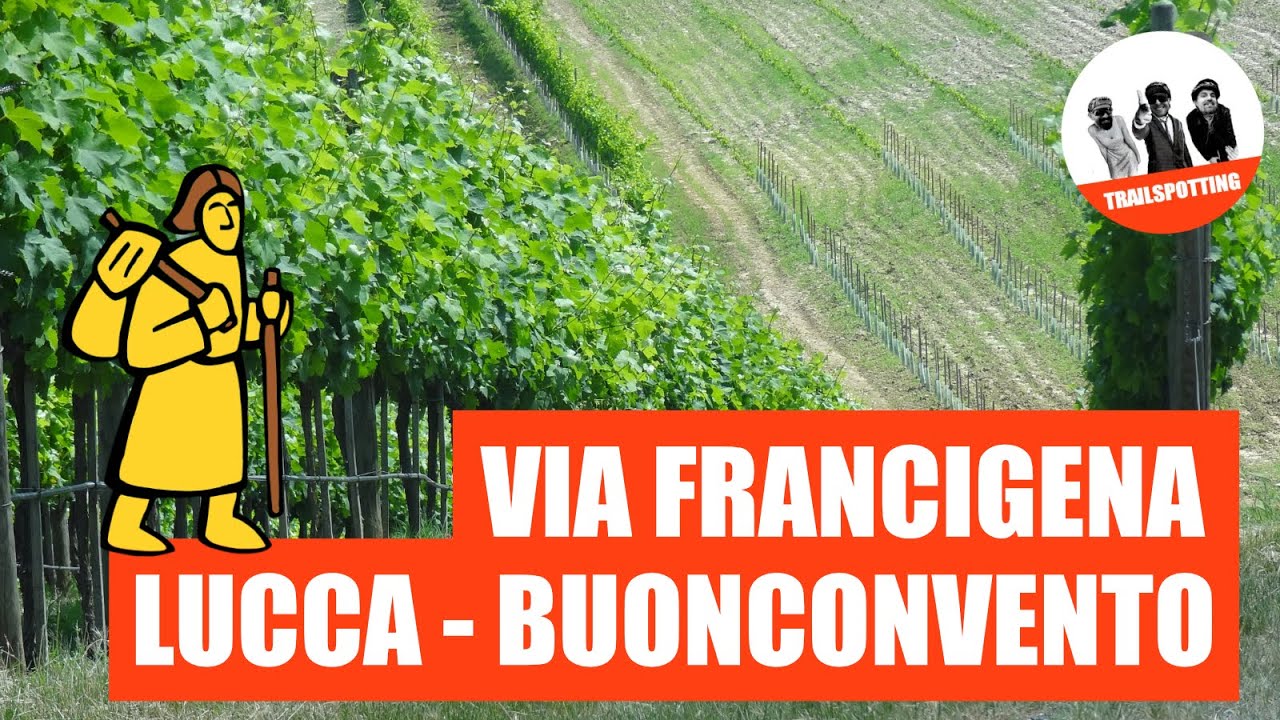 Trailspotting - Bikepacking in Toscana: Via Francigena Lucca Buonconvento
