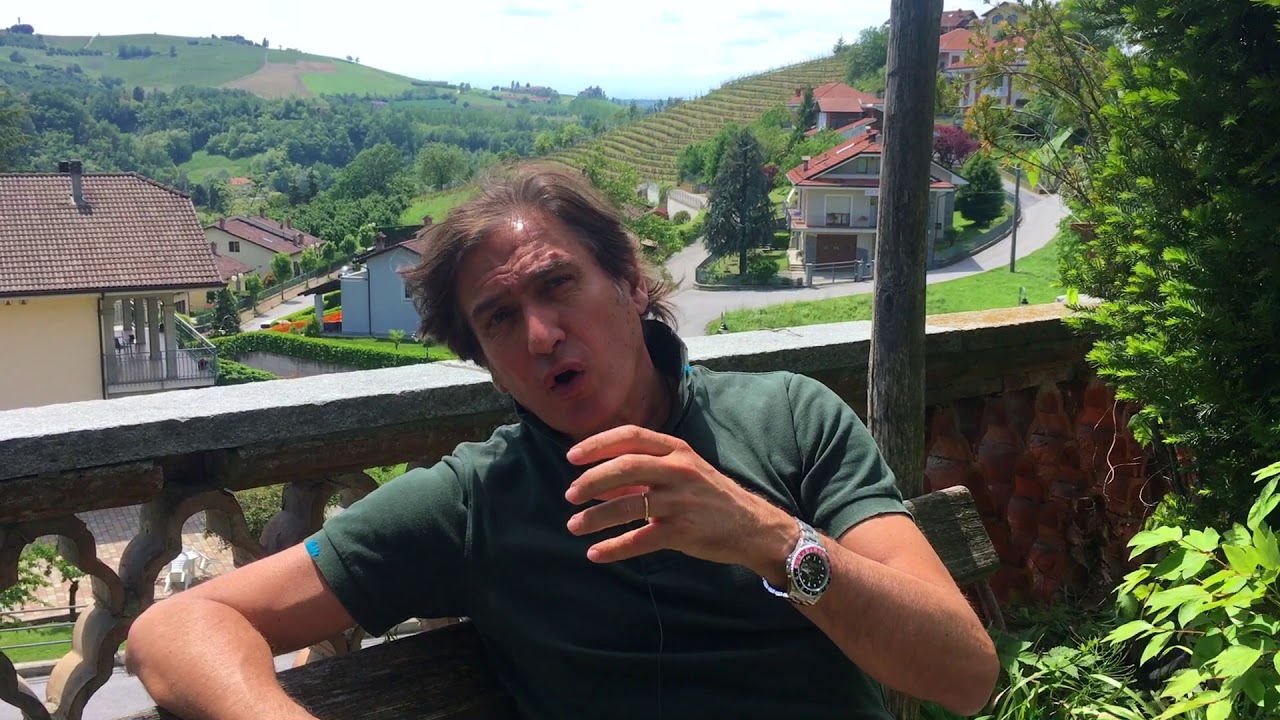 What is the Dolcetto grape & Dolcetto wine all about? Guide to Dolcetto