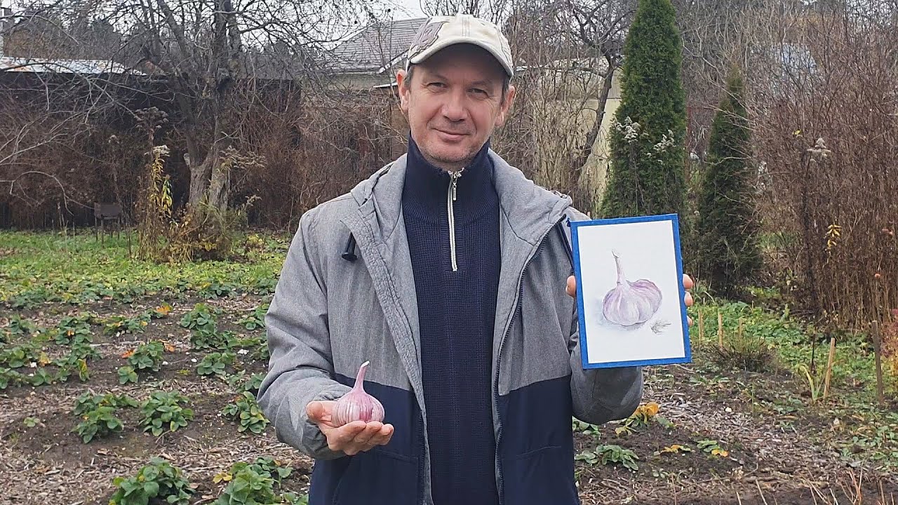 Борьба с осенней депрессией / Видеоблог о шопинге и садоводстве