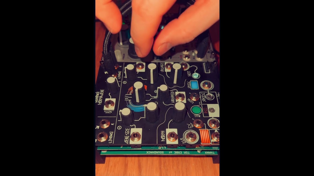 #morphagene #electronicmusic #dawless #mutableinstruments