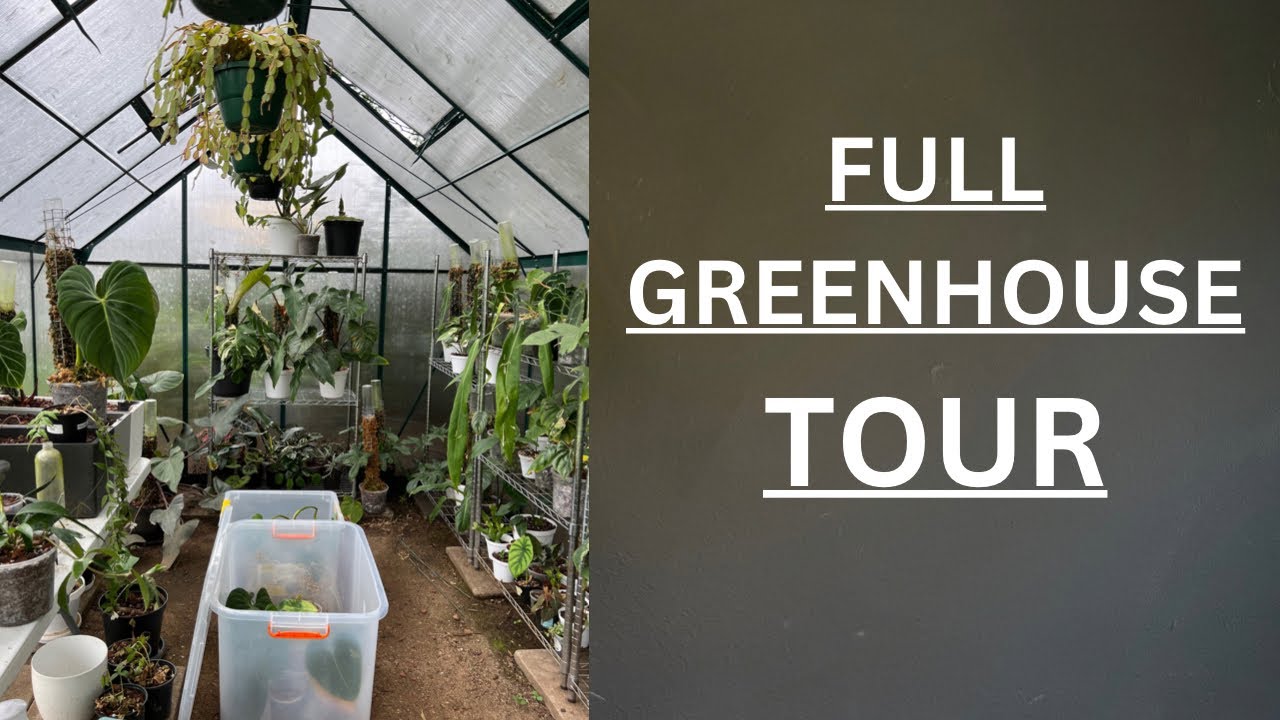 Full Greenhouse Tour