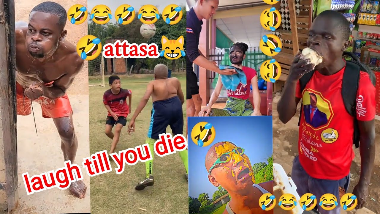 Безумие 🤣 самые смешные видео в мире 🤣😹 попробуй не смеяться 🤣😹