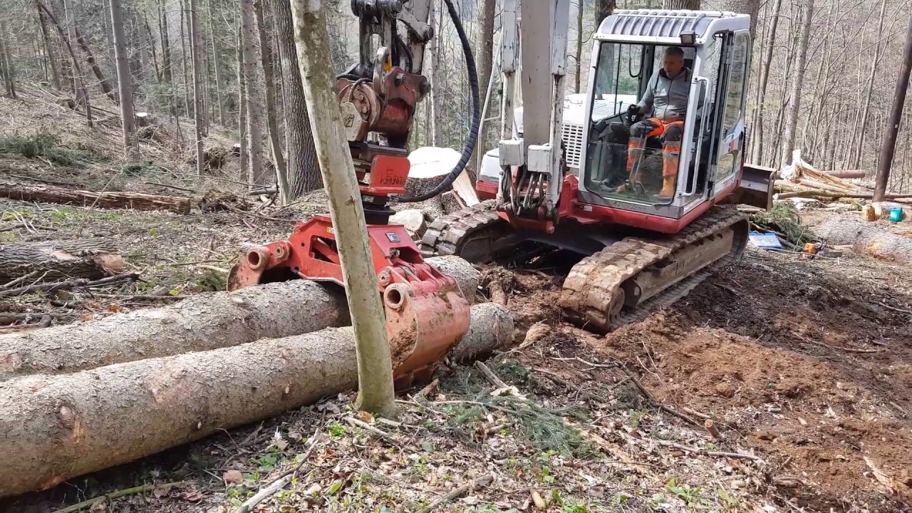 Takeuchi TB175/ Holzarbeiten/ Steyr Multi 4105/Stepa Rückewagen/Baggern