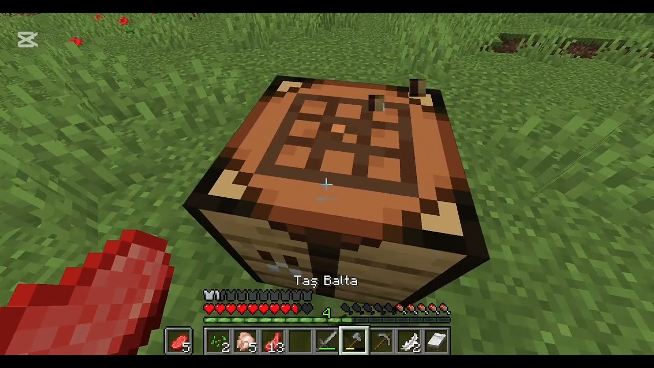 Minecraft yeni seri #keşfetbeniöneçıkar #minecraft #keşfet 