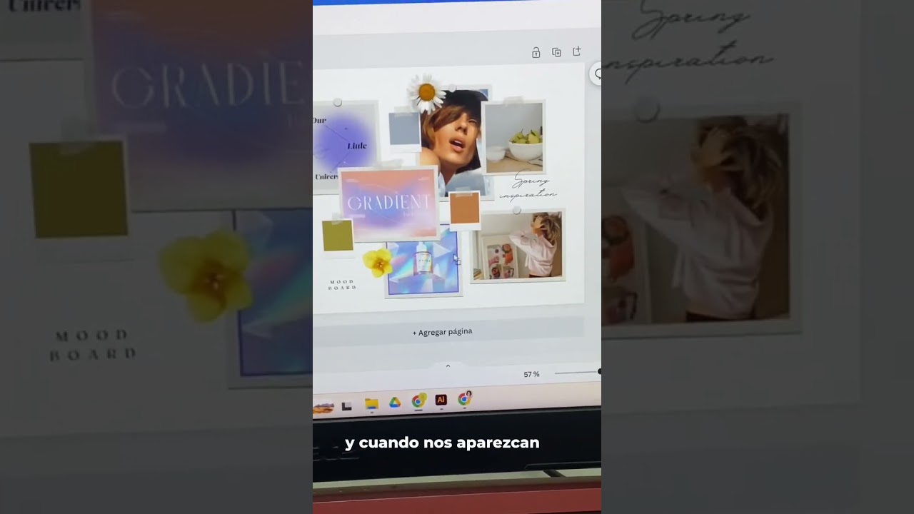 Crea un moodboard en canva