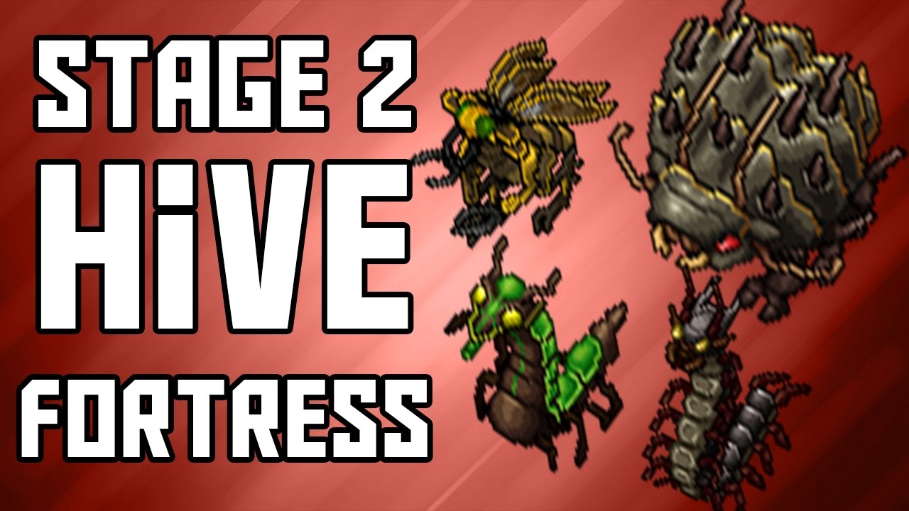[Tibia Where to Hunt &ndash; EK 150+] Stage 2 Hive Fortress (400-600k/hr @ 138)