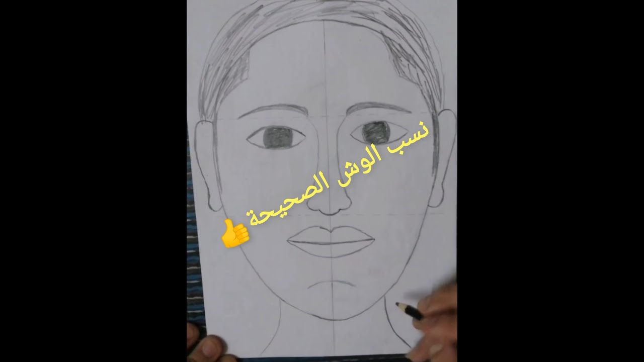 رسم نسب وش الإنسان بشكل صحيح