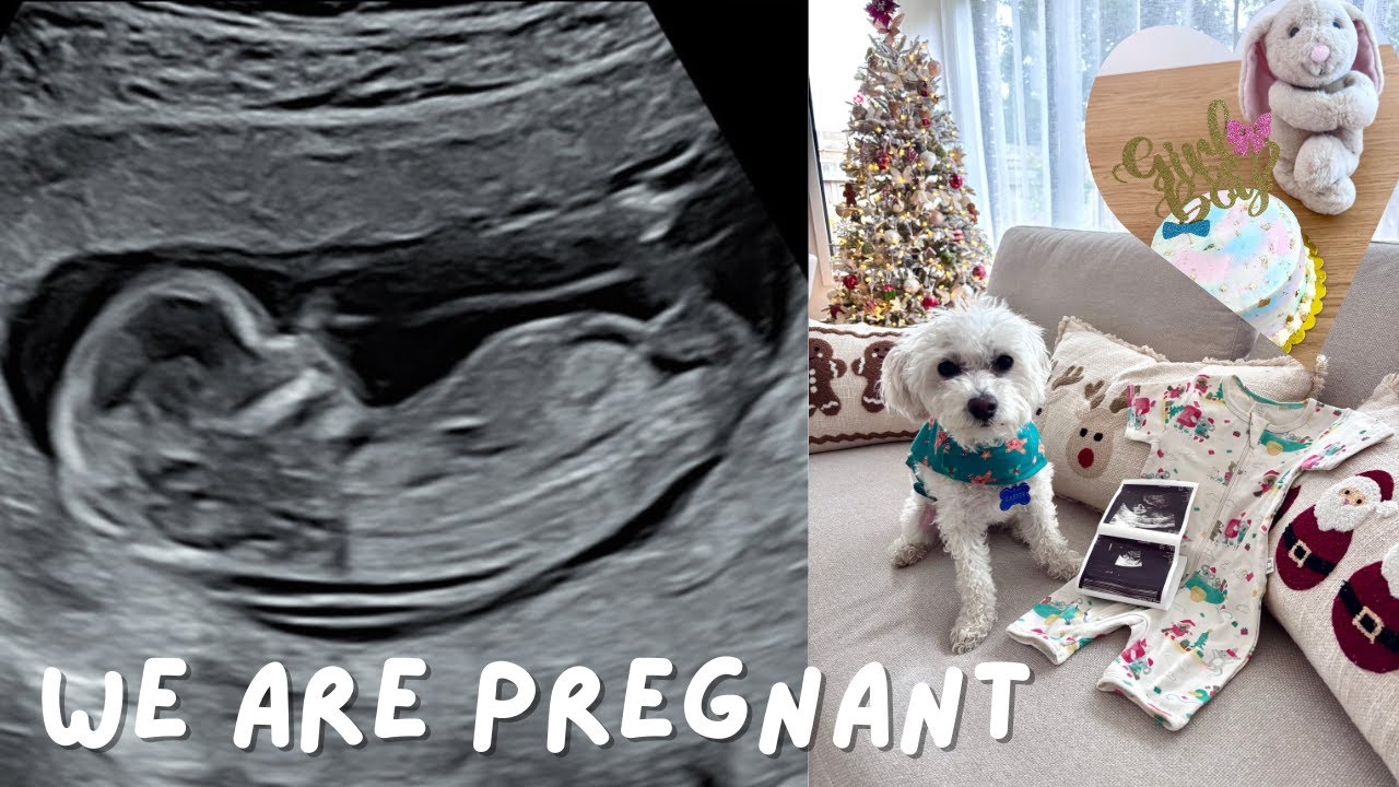 We're PREGNANT!! 🍼👶🏻🐣