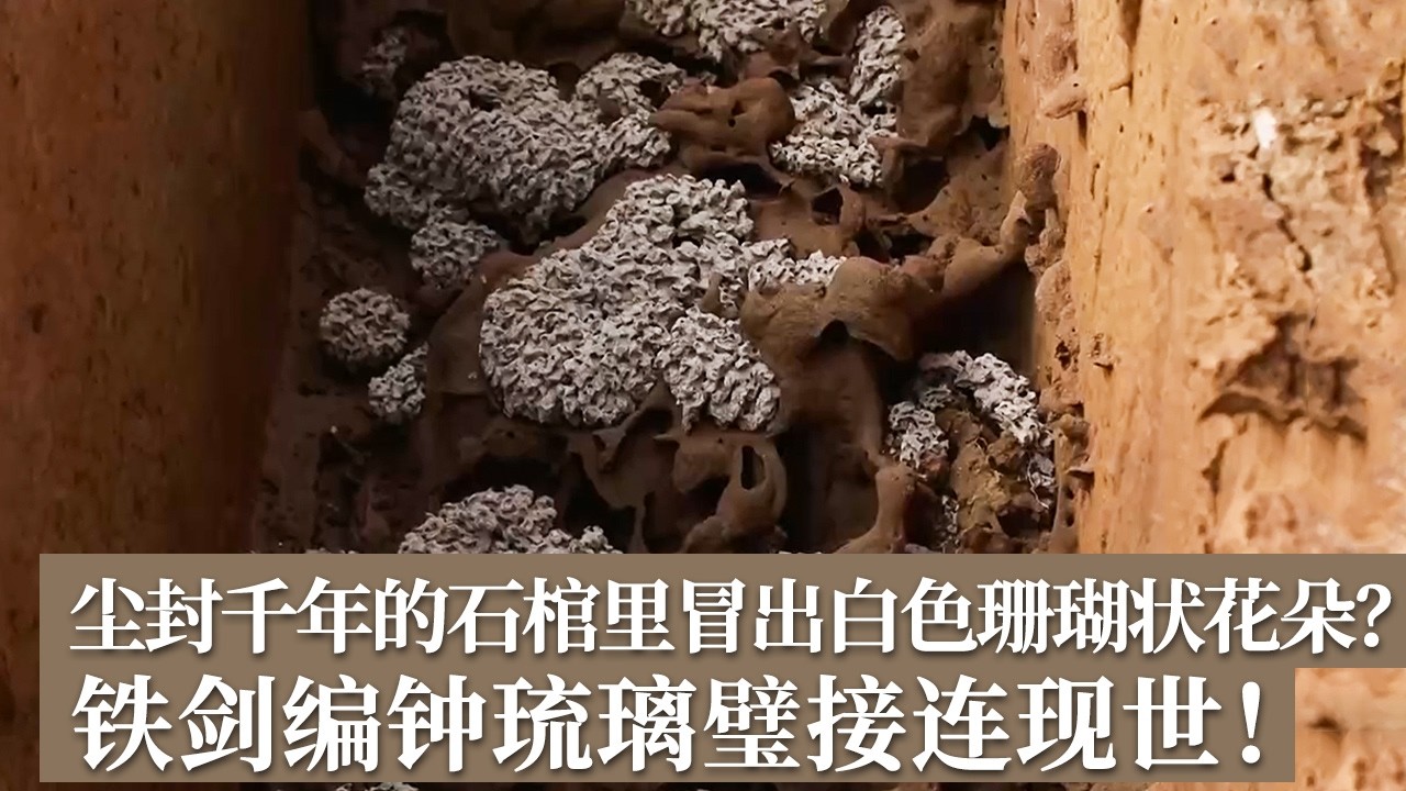 尘封千年的石棺里冒出白色珊瑚状花朵？铁剑编钟琉璃璧接连现世 溧阳黄土下究竟还藏了多少未解之谜？《探索&middot;发现》走进发掘现场（93） |  中华国宝