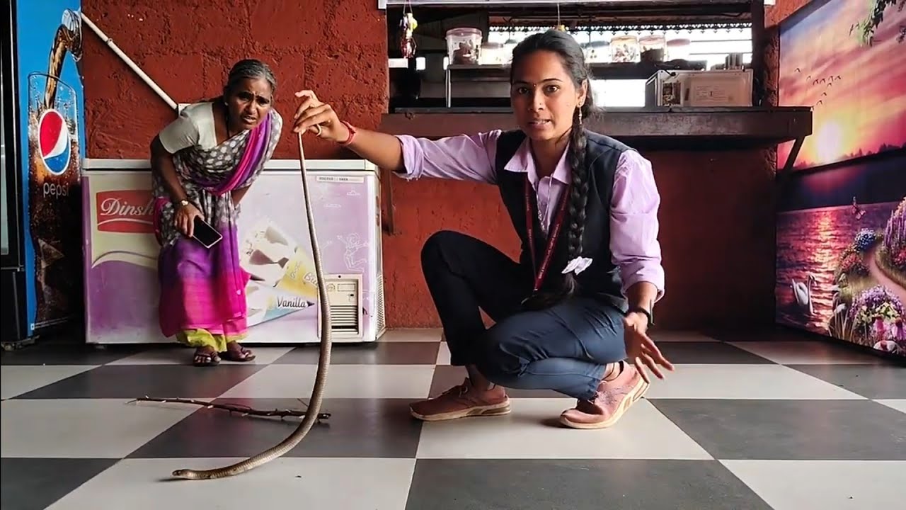 हॉटेल मध्ये लपून बसलेला विषारी नाग साप 😯