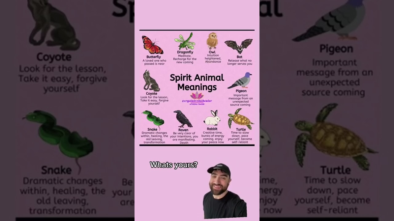 Spirit animal meanings