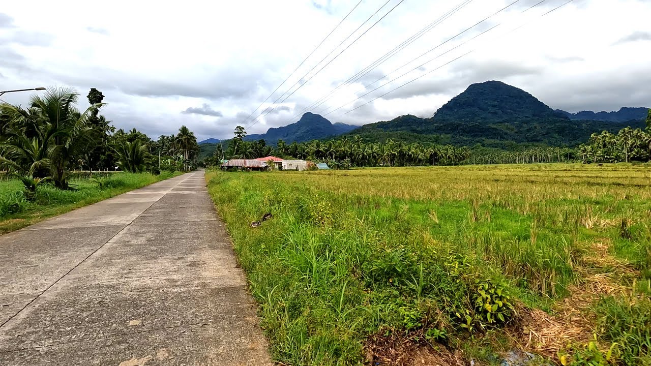 Javier town proper to Brgy. Caranhug Javier Leyte road