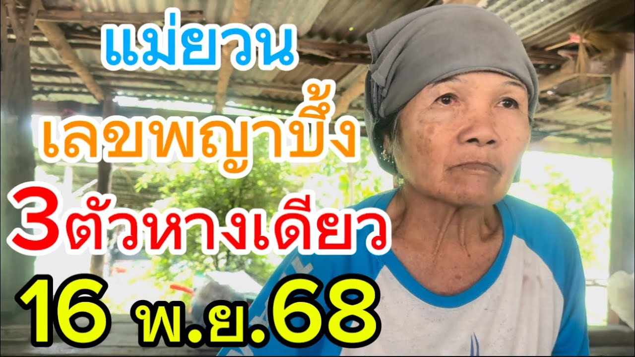 แม่ยวน เลขพญาบึ้ง  3ตัวหางเดียว 16 พ.ย. 68