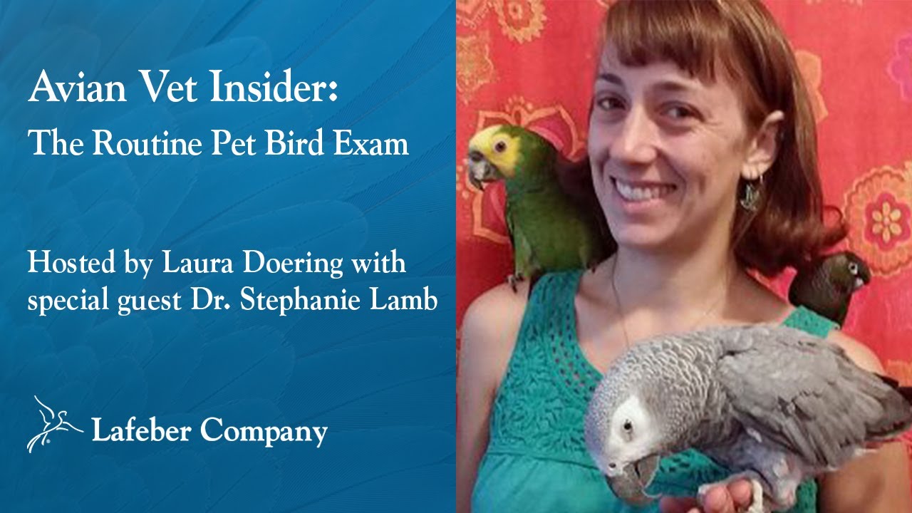 Avian Vet Insider Episode 2: The Routine Pet Bird Exam