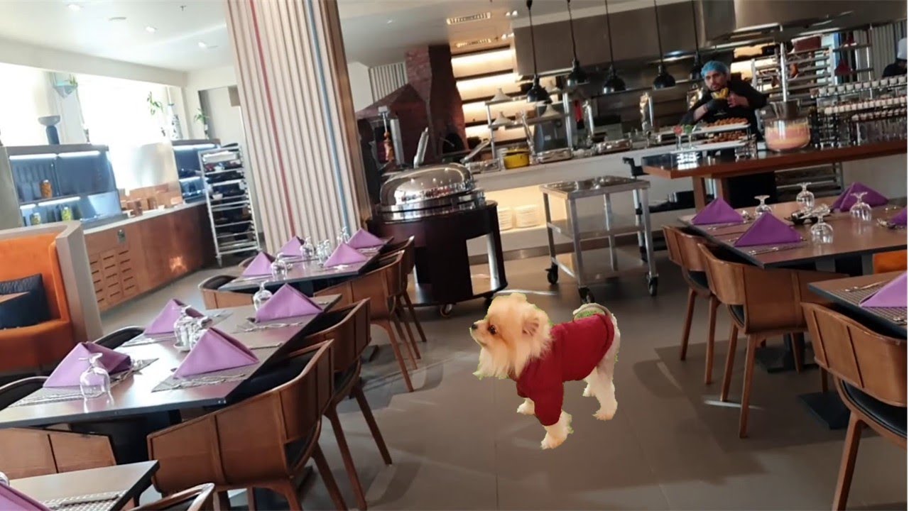 Family Dinner At Levantine & Luca Park Puppy Showcase