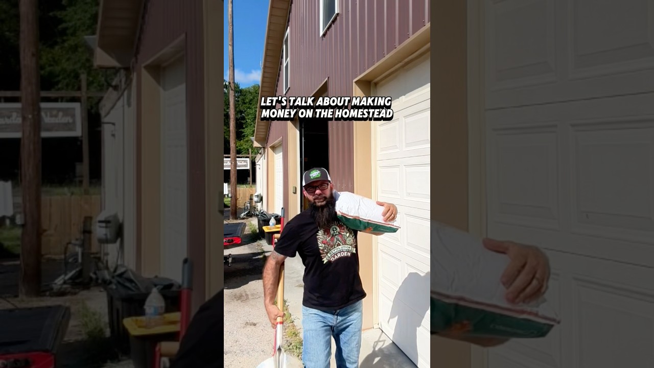 Let&rsquo;s Talk About Making Money on the Homestead