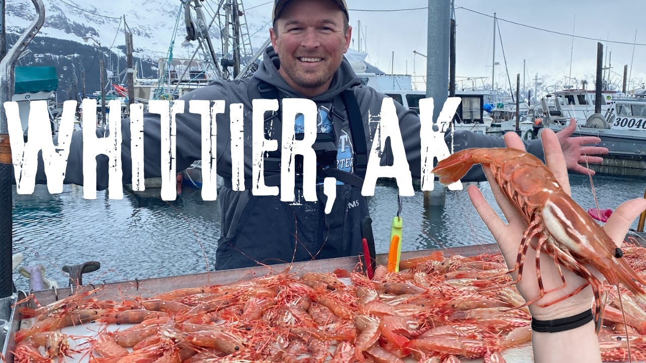 Shrimping and Fishing out of Whittier, Alaska!!