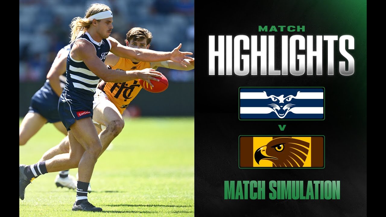 Geelong Cats v Hawthorn Highlights | Match Simulation, 2025 | AFL