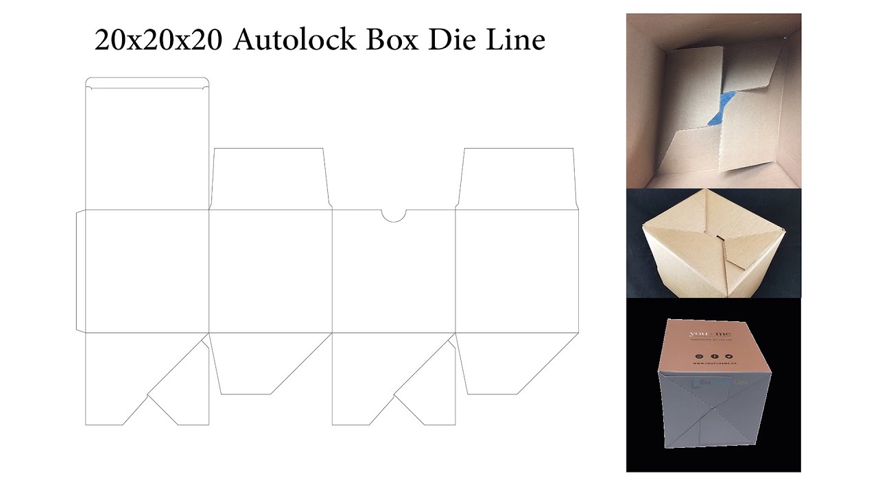 Autolock Box DieLine
