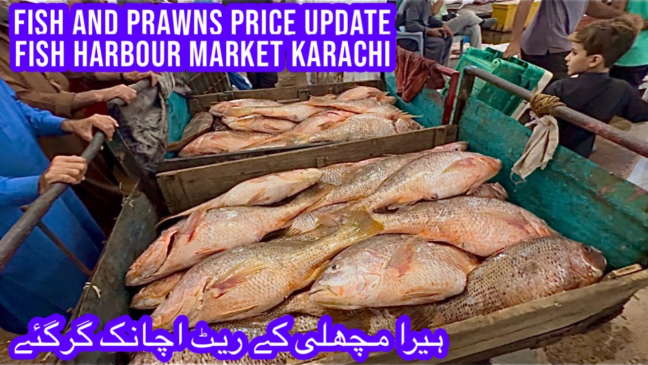 FISH & PRAWNS PRICE UPDATE KARACHI FISH HARBOUR MARKET March 31, 2026