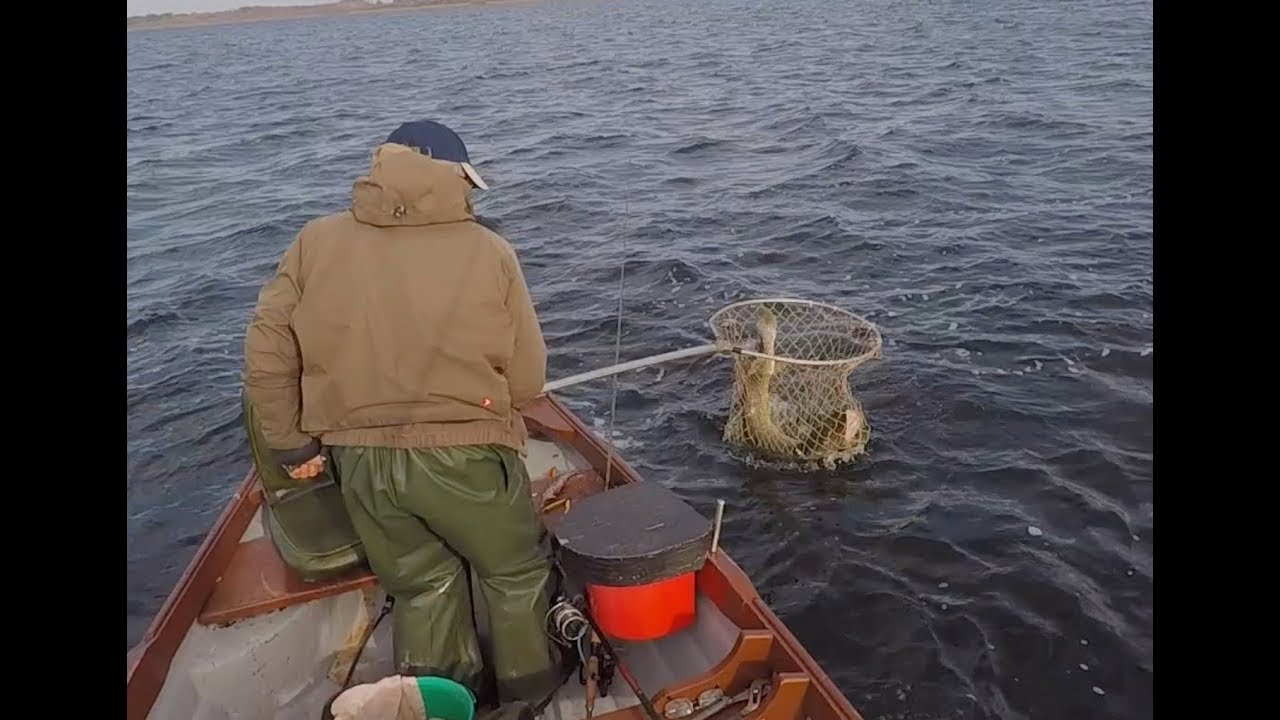 Lake Corrib, 120cm Pike Ireland