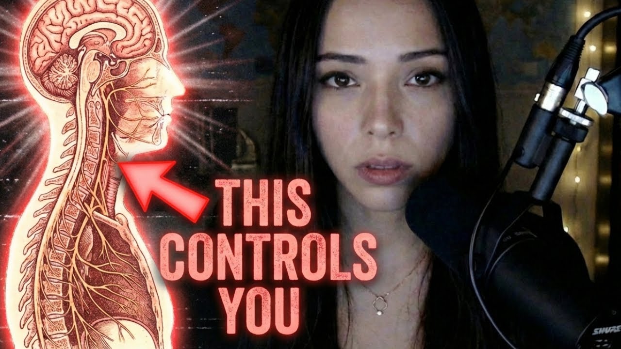 The 