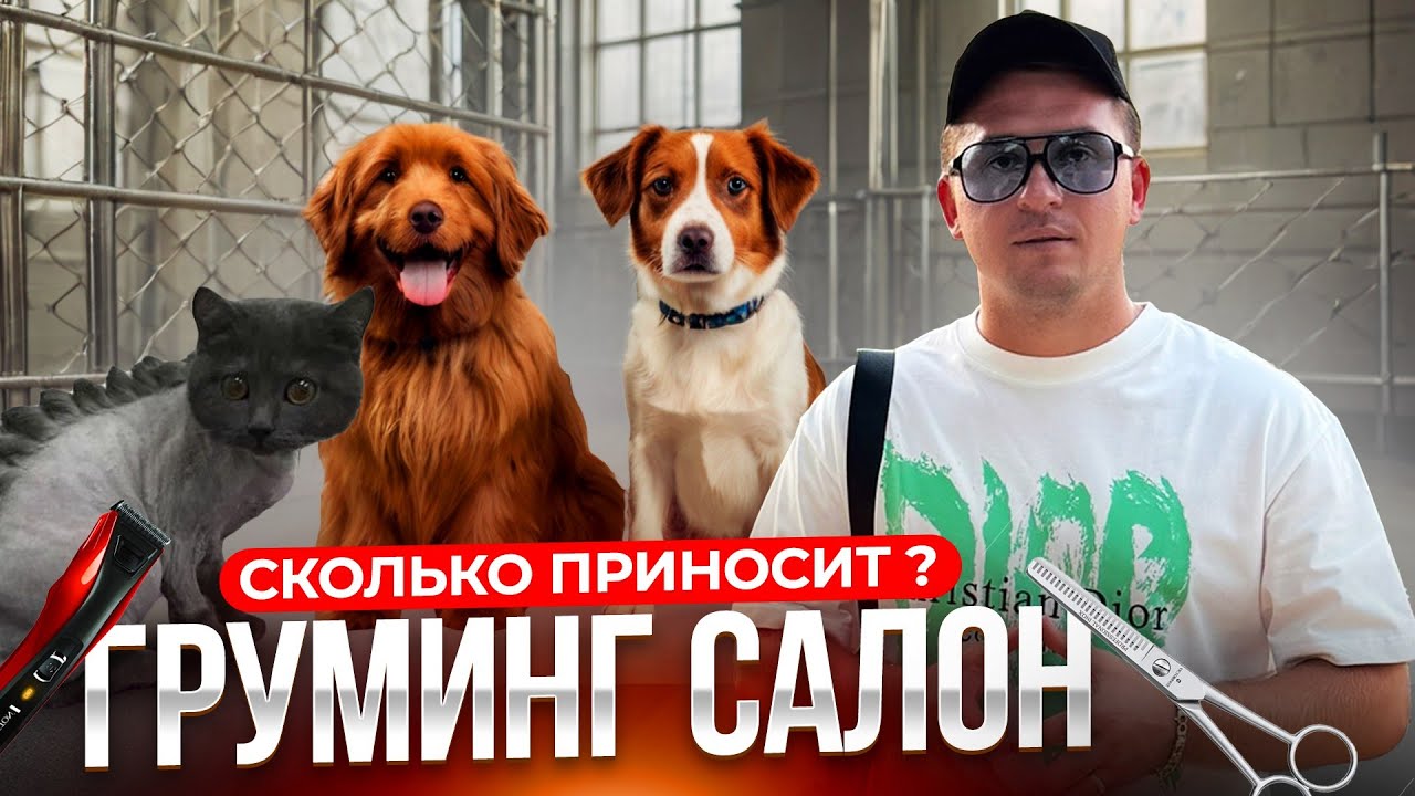 Груминг салон. Бизнес на стрижке собак. Грумер