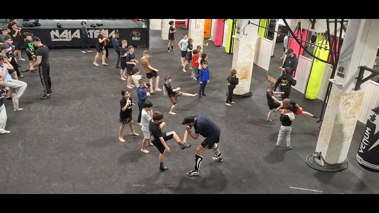 Muay Thai Fight 