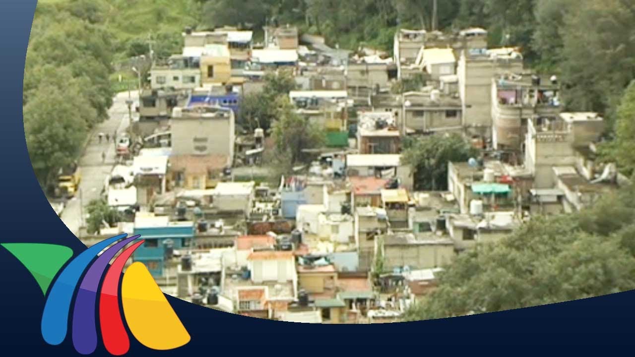 Las consecuencias de la sobrepoblaci&oacute;n