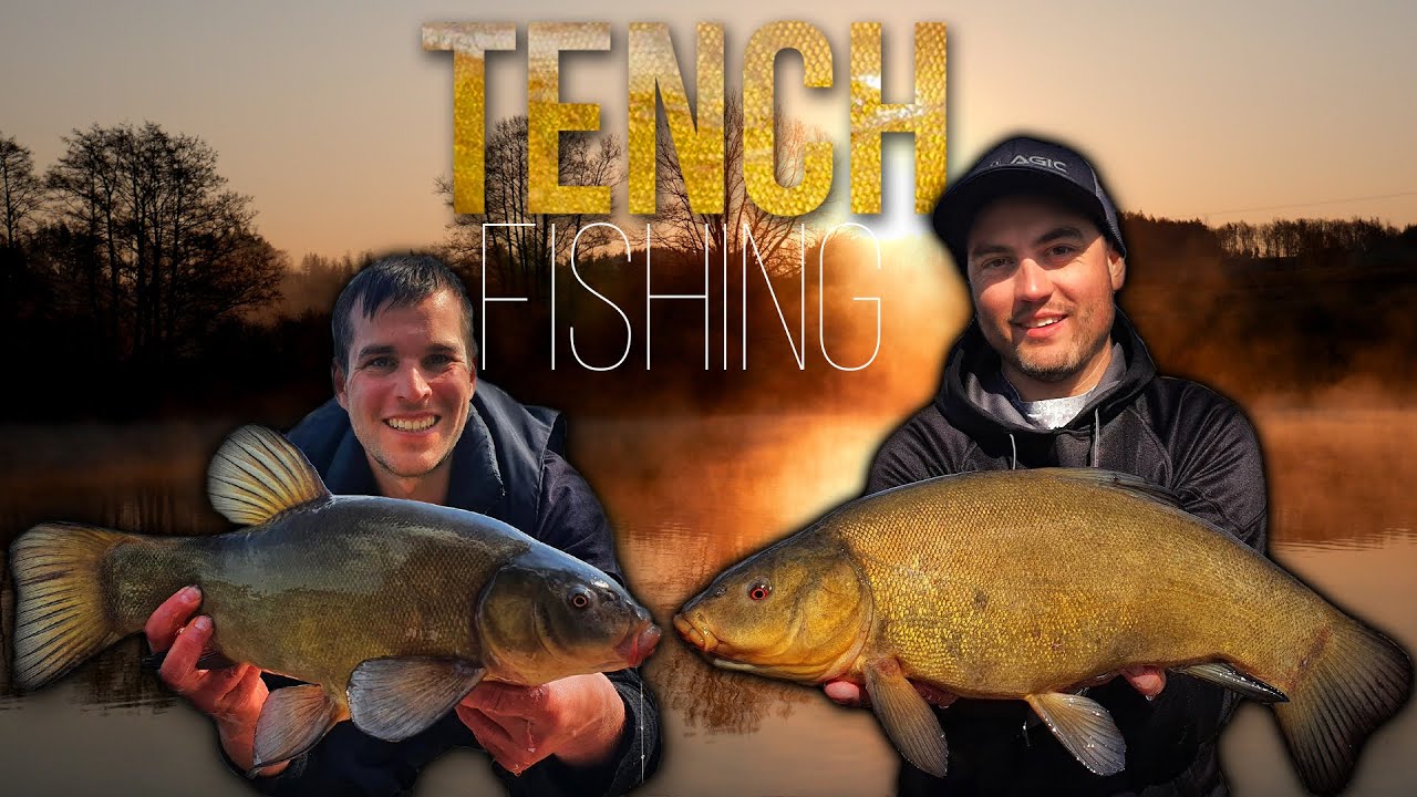 CHYTÁNÍ LÍNŮ RYBNÍK HEJLOV / TENCH FISHING HEJLOV LAKE
