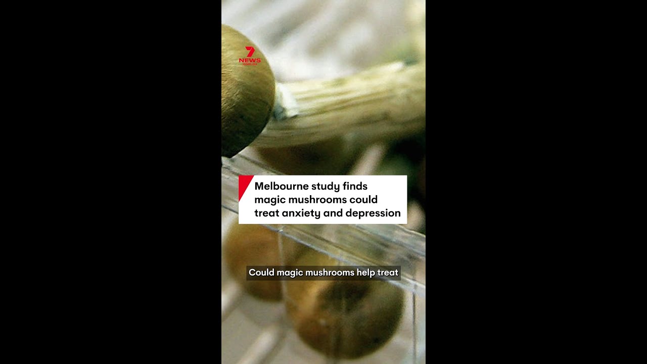 Magic mushrooms to treat depression?