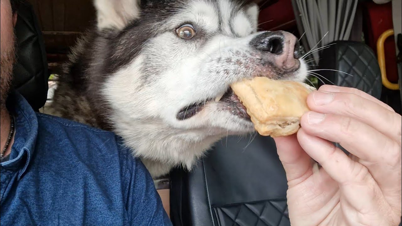 Can't Believe The Vets Told Us To Do This!