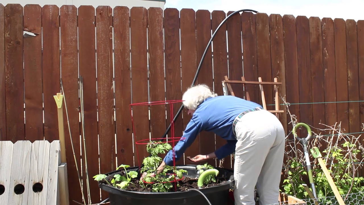 Gardening Power to the People: Growing Warm Weather Vegetables