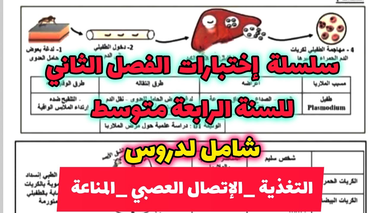الإختبار الثاني في العلوم الطبيعية للسنة الرابعة متوسط شامل لدروس  الاتصال العصبي والمناعة والتغذية