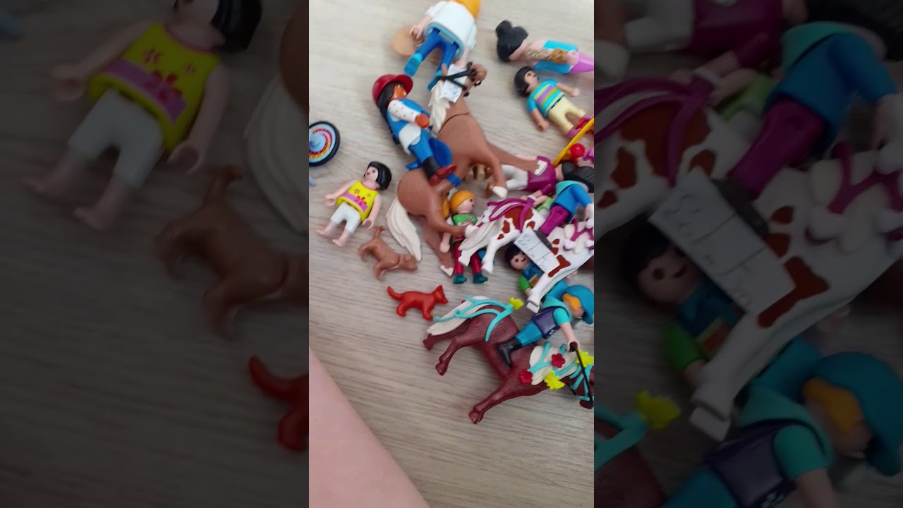 Famille nombreuse playmobil