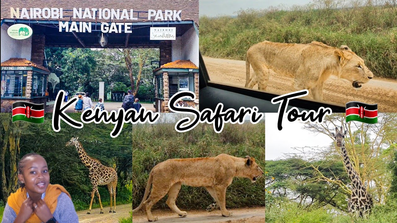 NAIROBI NATIONAL PARK | A KENYAN SAFARI VLOG 🇰🇪