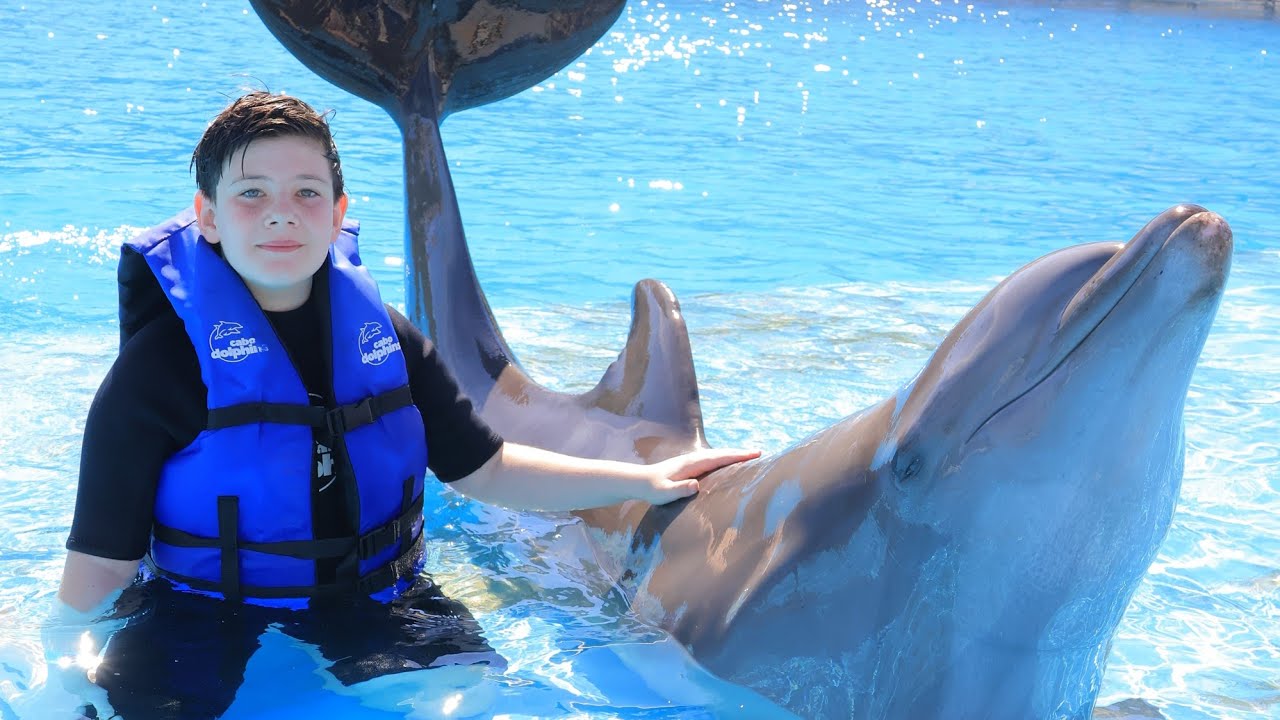 Cabo Adventures Dolphin Swim