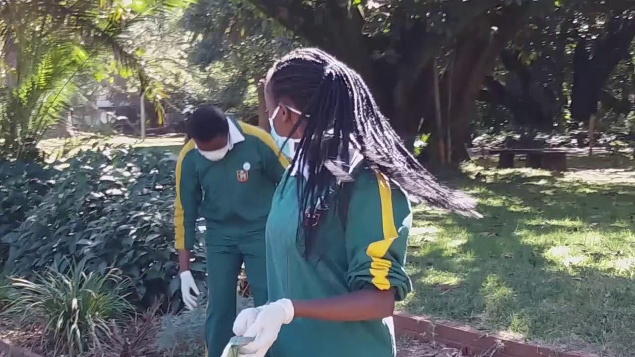 Clean up Campaign
