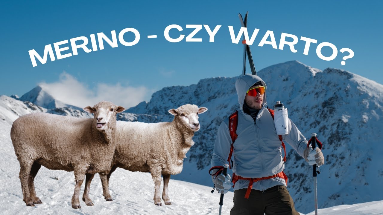 Wełna merino w górach - wszystko co musisz wiedzieć