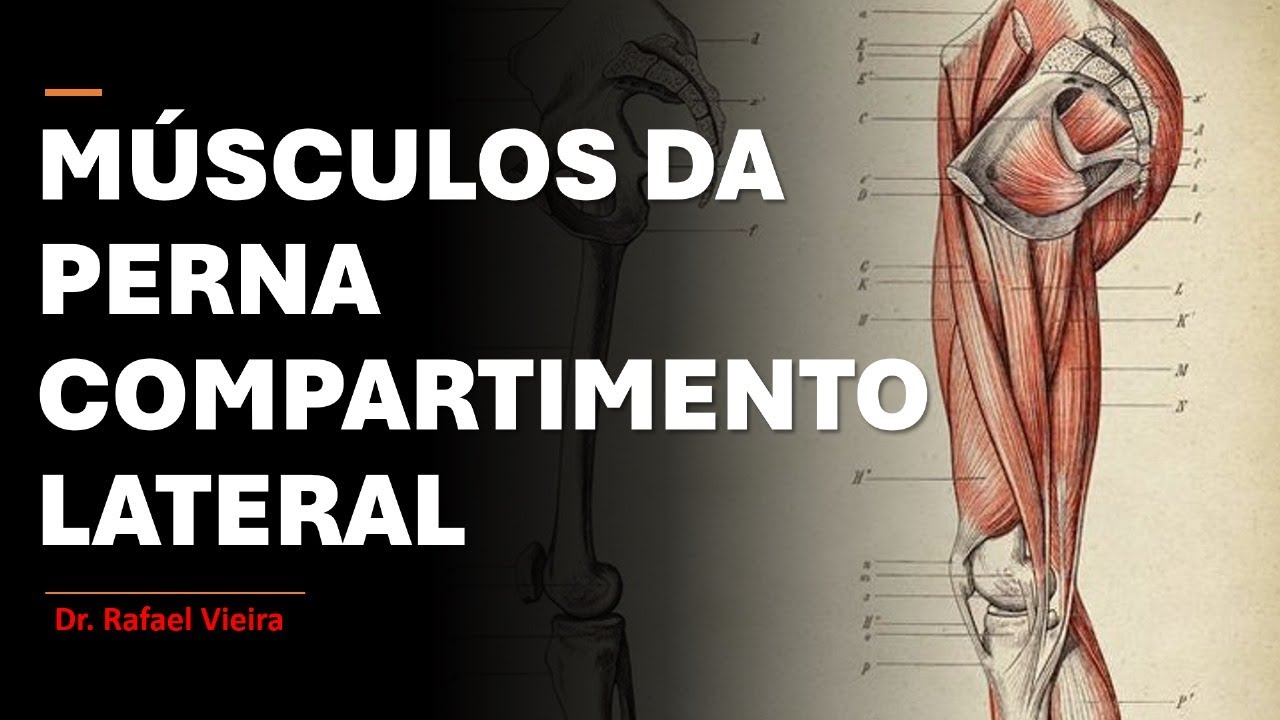 MÚSCULOS DA PERNA - COMPARTIMENTO LATERAL