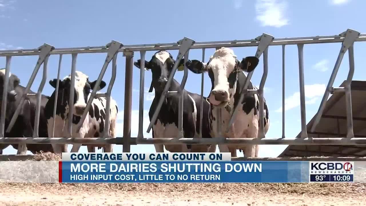 More West Texas dairies shutting down