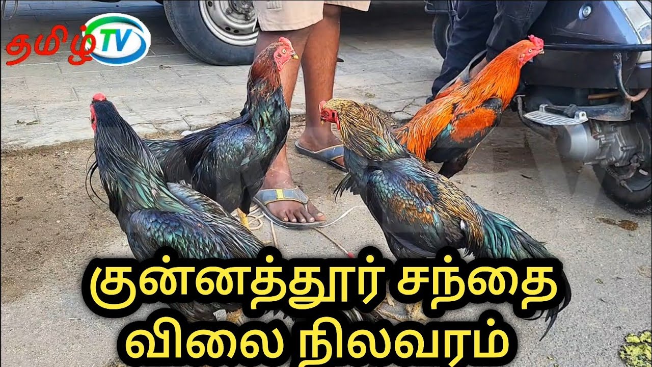 குன்னத்தூர் சந்தை விலை நிலவரம் 14/07/2025 #kunnathur #tamil #pets #market