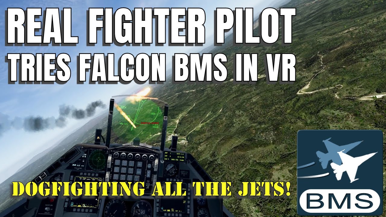 Dogfighting All The Jets (ACE AI) in Falcon BMS!