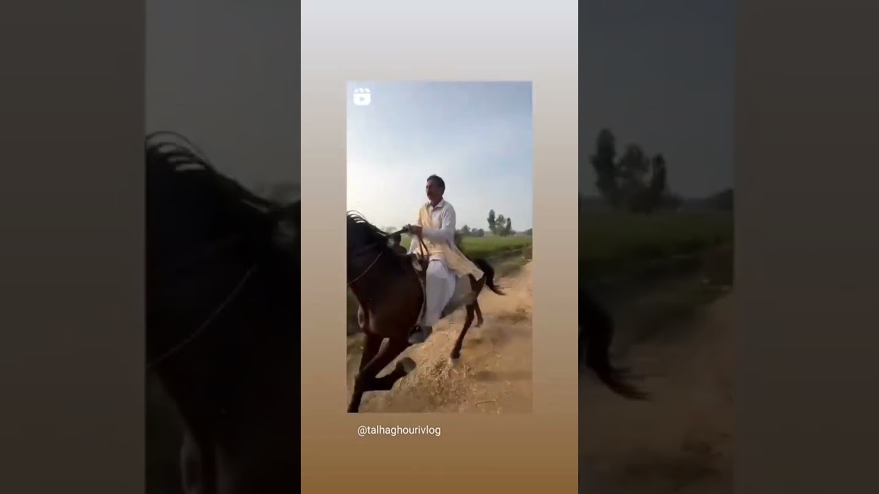 @TalhaGhouriVlogs1 @bordervillagesecrets1 #pets#horse #horses #horseriding#talha