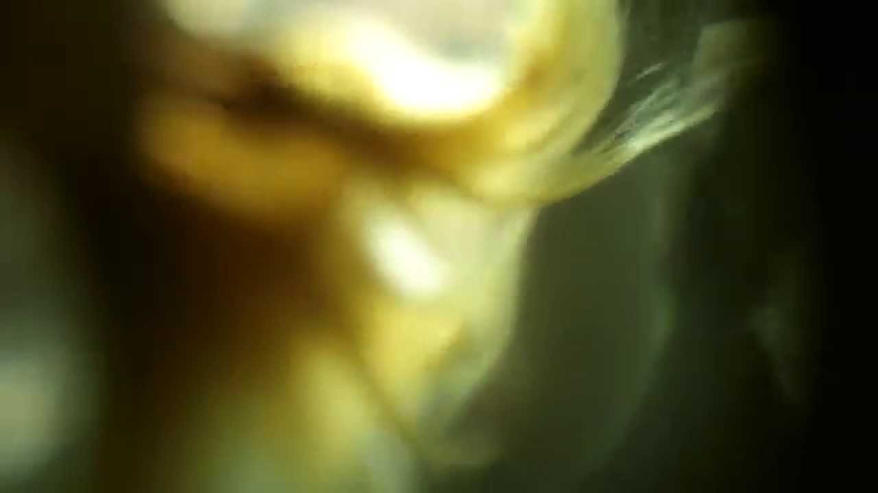 Tina Dico 'Drifting' Official