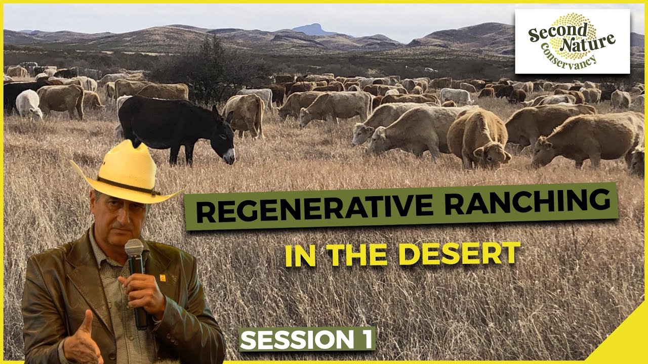 Alejandro Carrillo - Regenerative Ranching in the Desert - Part 1