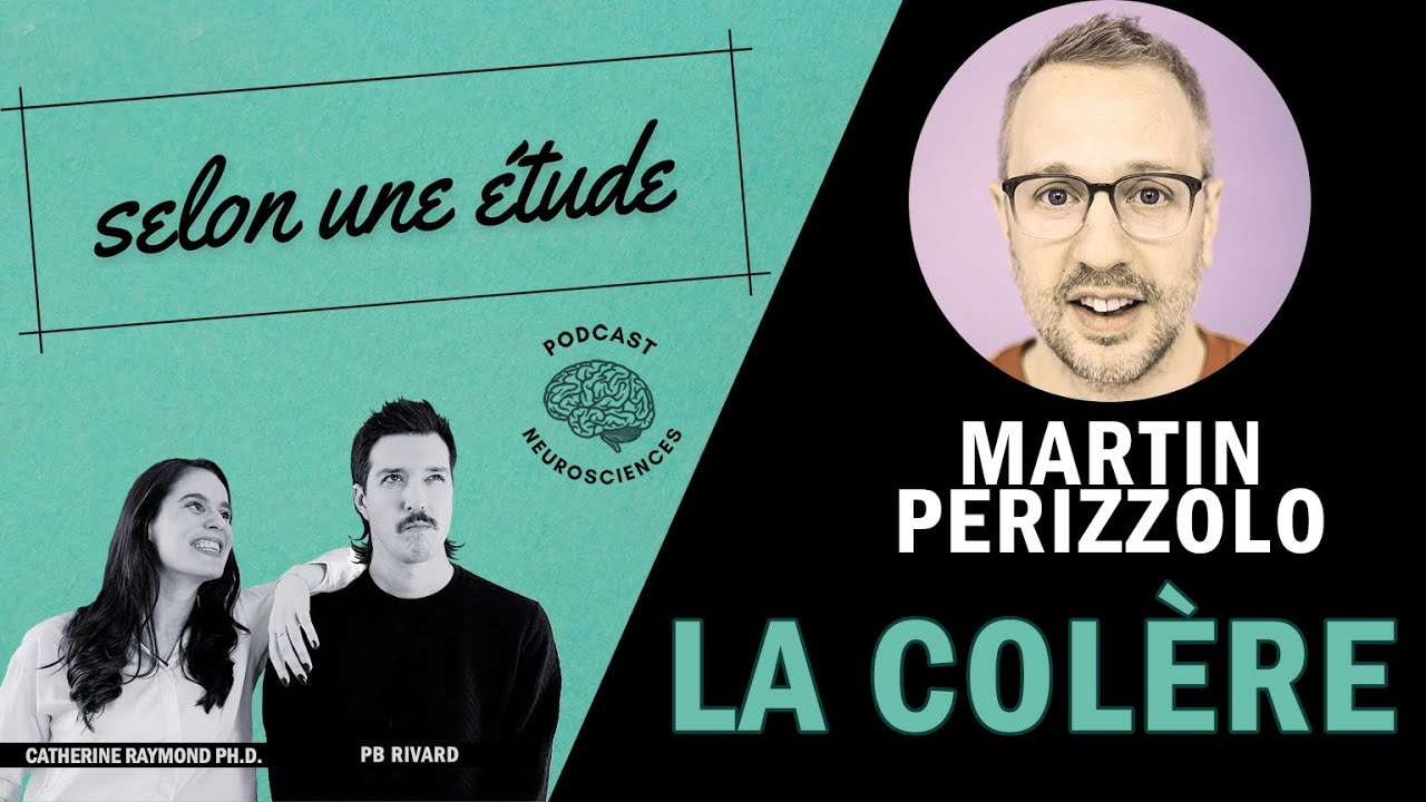 #11 | La Colère | Martin Perizzolo | Selon une étude