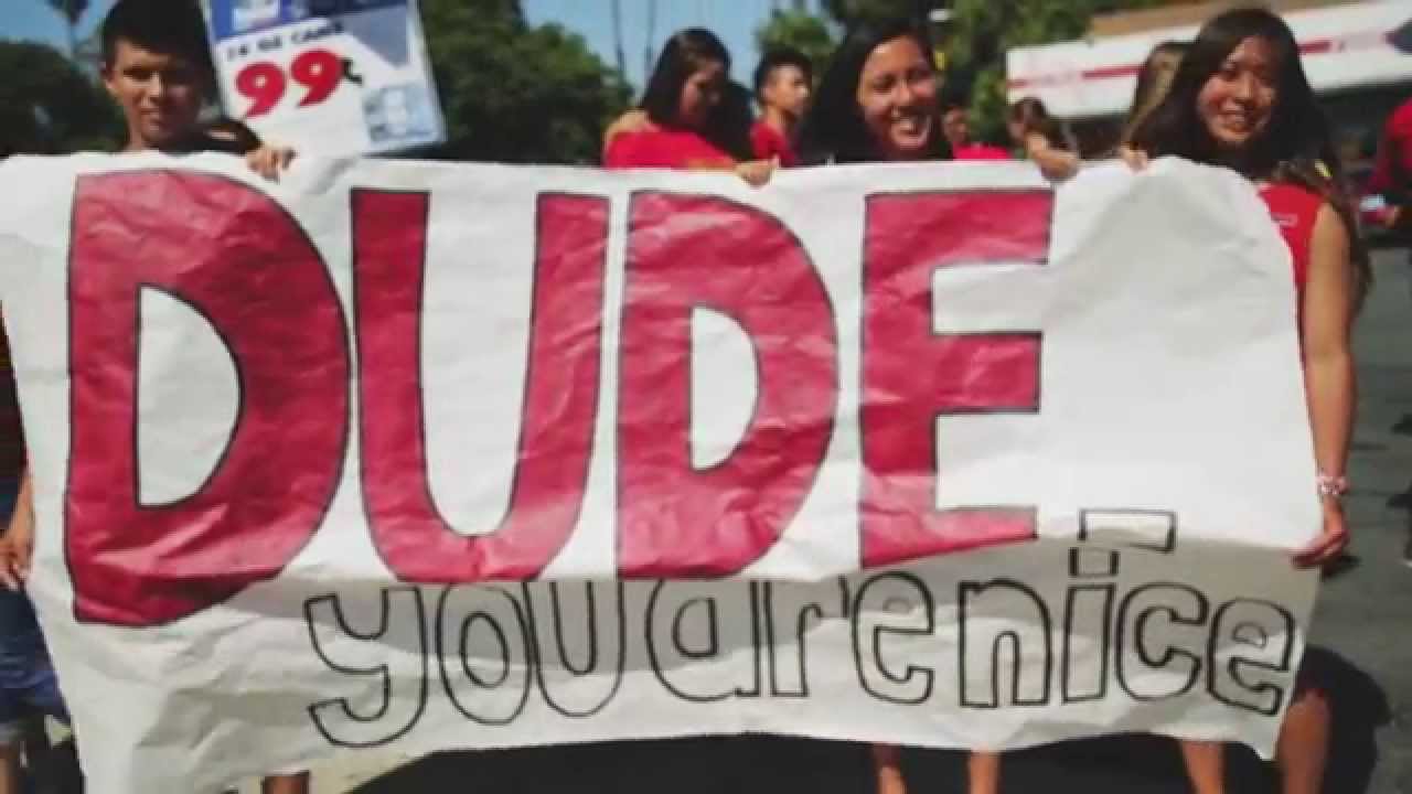 What is the DUDE. be nice Project?